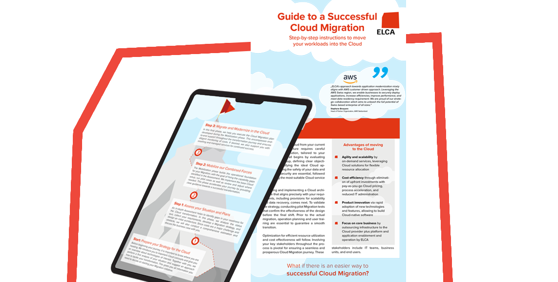 Step-by-step-migration-picture